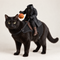 Headless Horseman Pet Costume