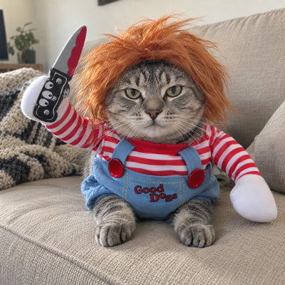Tabby cat lying on a sofa in the killer doll costume
