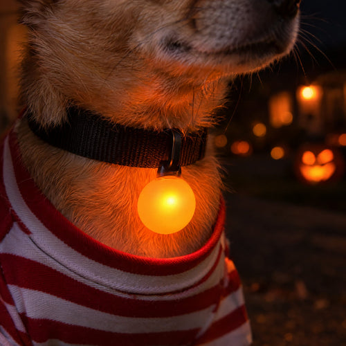 Killer Doll Pet Costume
