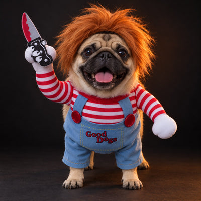 Small dog wearing the killer doll costume: orange wig, striped shirt, denim overalls, toy knife
