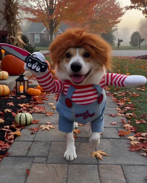 Killer Doll Pet Costume