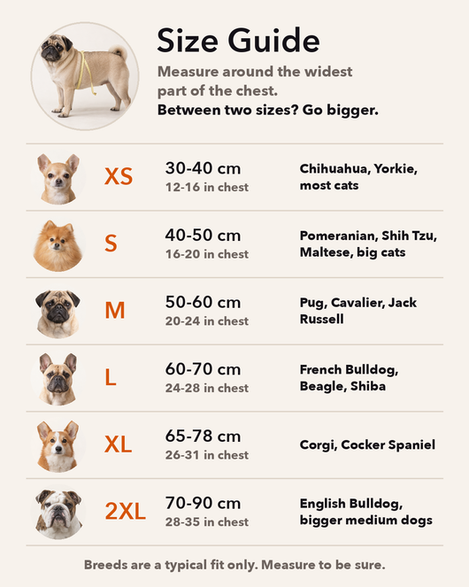 Size guide: chest size XS to 2XL with a photo of a typical breed for each size, and how to measure